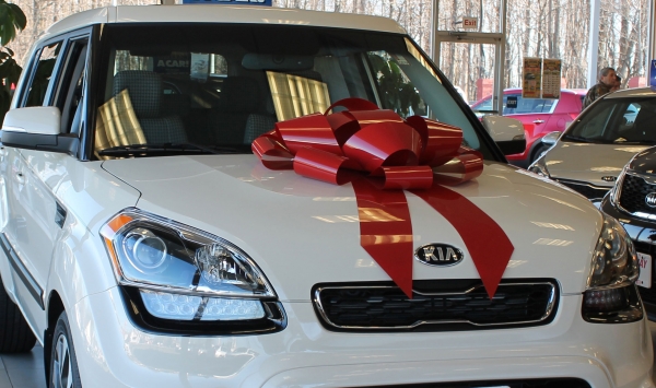 30" Shiny Vinyl Magnetic Car Bows