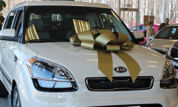 30" Shiny Vinyl Magnetic Car Bows