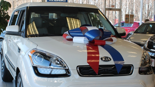 30" Shiny Vinyl Magnetic Car Bows