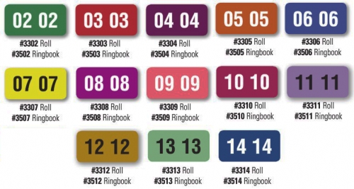 Color Coded Years (year labels) - Rolls of 500 - Product Image