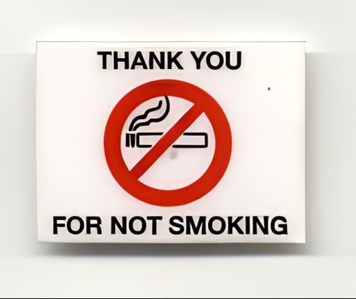 No Smoking Static Cling Decal - Pkg 100